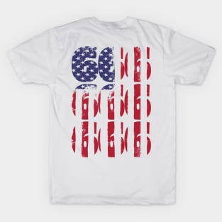 666 Satanic American Flag T-Shirt